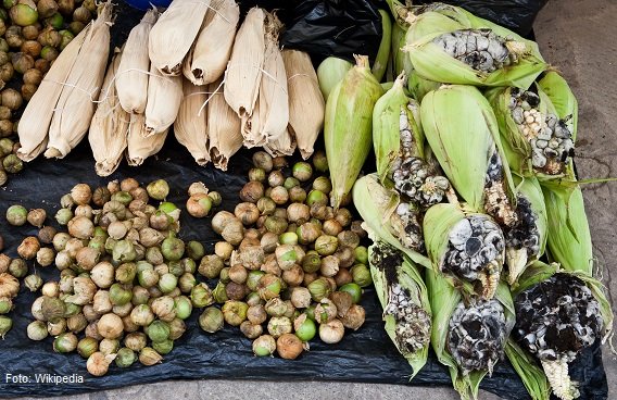 ▷Los 7 Platillos con Huitlacoche Más Sabrosos