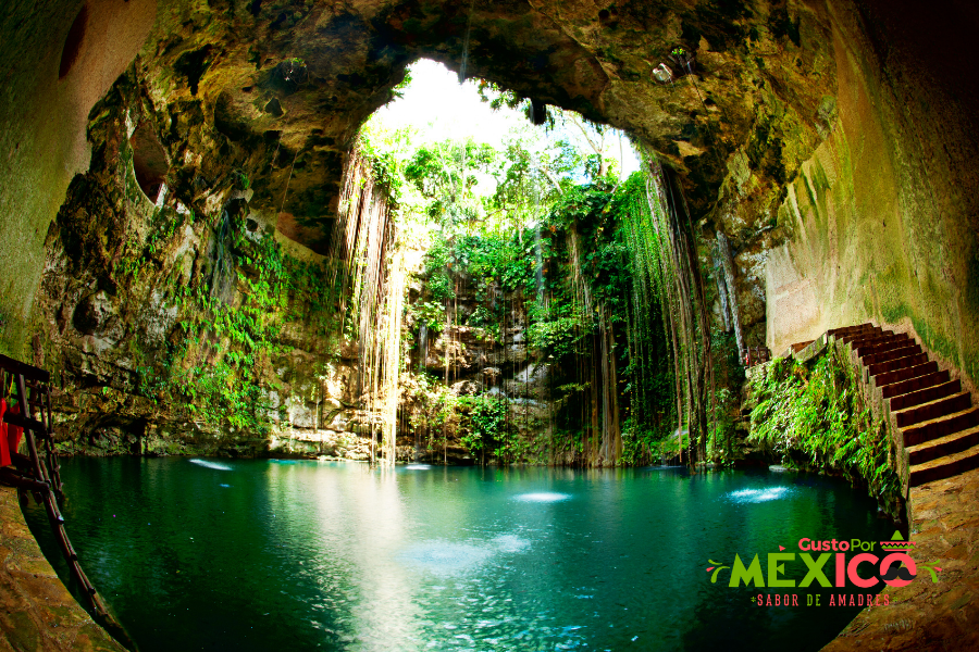 ▷Los 8 Cenotes Más Bellos de México 🥇